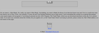Illustration for article titled Holy Crap, Is This Mark Zuckerberg's Embarrassing Childhood Angelfire Website?